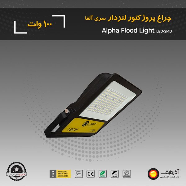 floodlight fl100w
