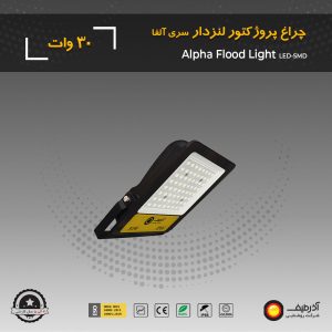 floodlight fl30w